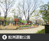 大井町鮫洲運動公園