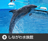 大森しながわ水族館